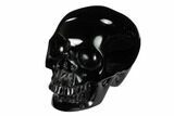 Realistic, Polished Black Obsidian Skull #151032-2